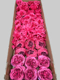 60 PCS All Fuchsia & Hot Pink Assorted Artificial Flower Heads (AH1), Peonies, Rose & Flame Chrysanthemums
