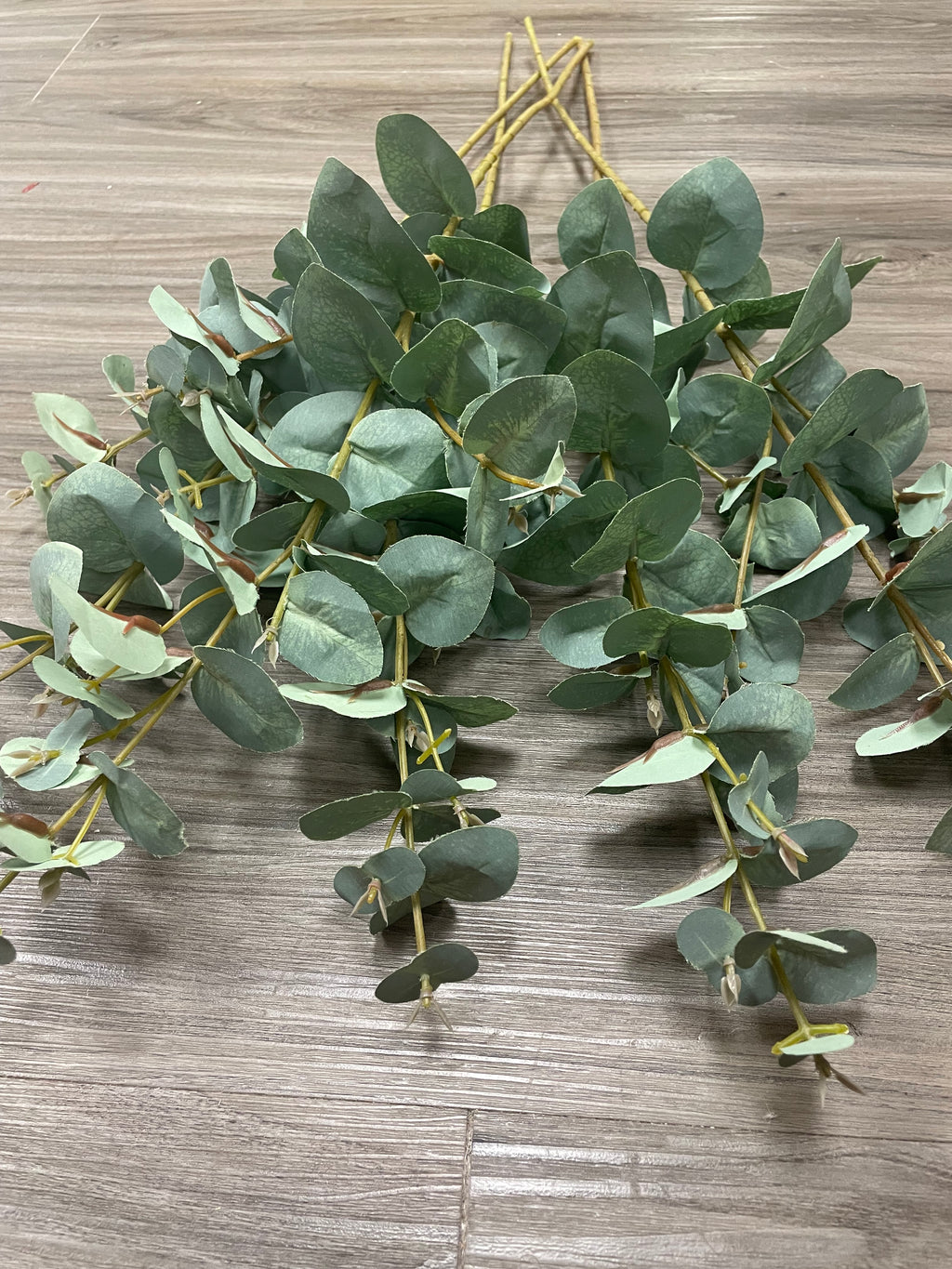 3Bunches/5Bunches Eucalyptus Greenery Stems, Artificial Silver Dollar Leaves, Realistic Filler for Wedding & Home Decor (AG13)