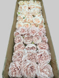 50/60 PCS All Nude Pink & Nude Beige Assorted Artificial Flower Heads (AM1), Peonies & Rose