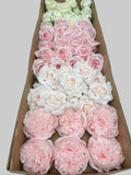 60/70 PCS Artificial Flower Heads(CS3) – Mixed Colors for Wedding & DIY Decor