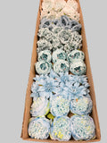 60 PCS All Light Blue Assorted Artificial Flower Heads D – Roses, Peonies, Carnations, Dahlia