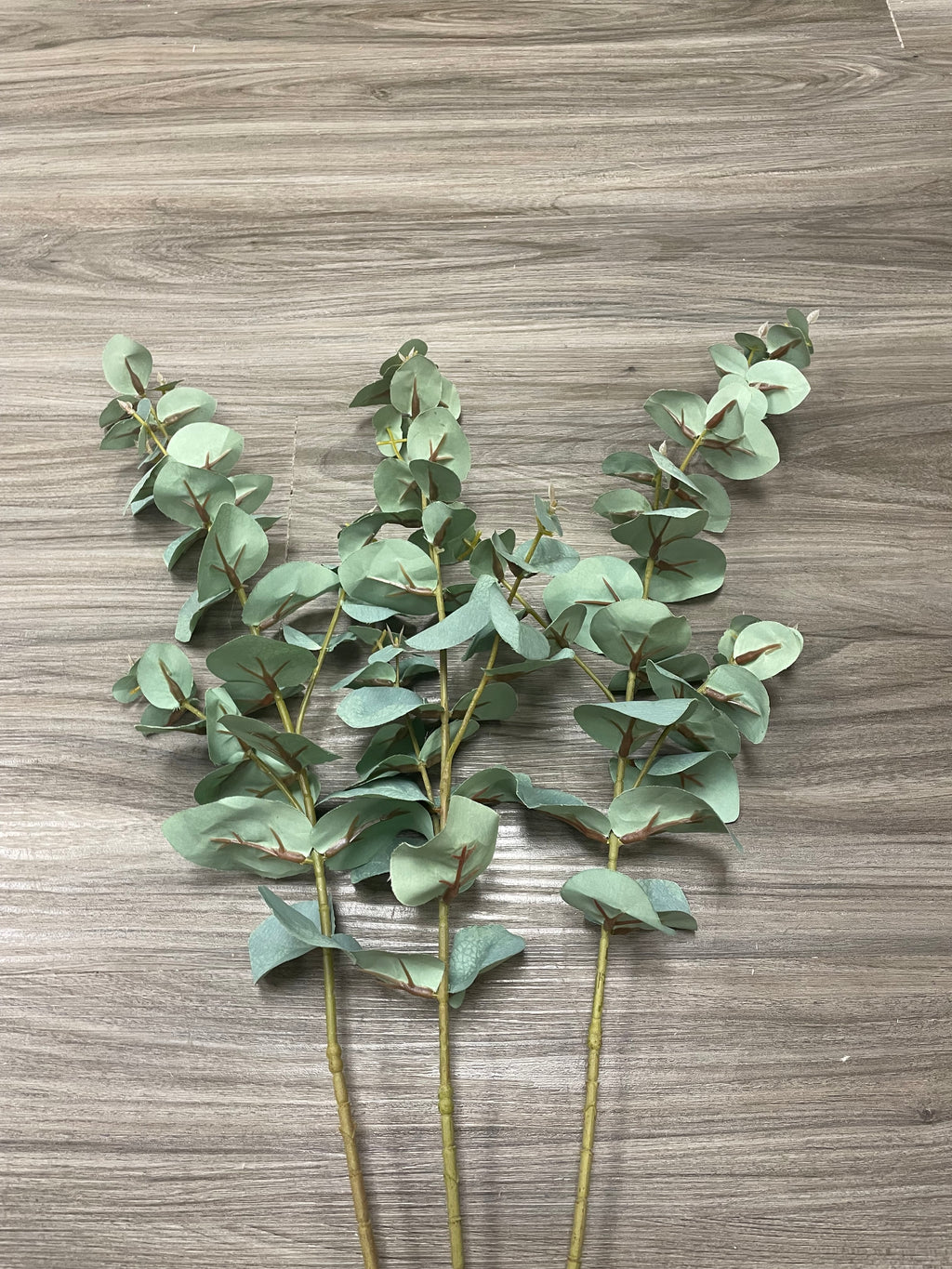 3Bunches/5Bunches Eucalyptus Greenery Stems, Artificial Silver Dollar Leaves, Realistic Filler for Wedding & Home Decor (AG13)