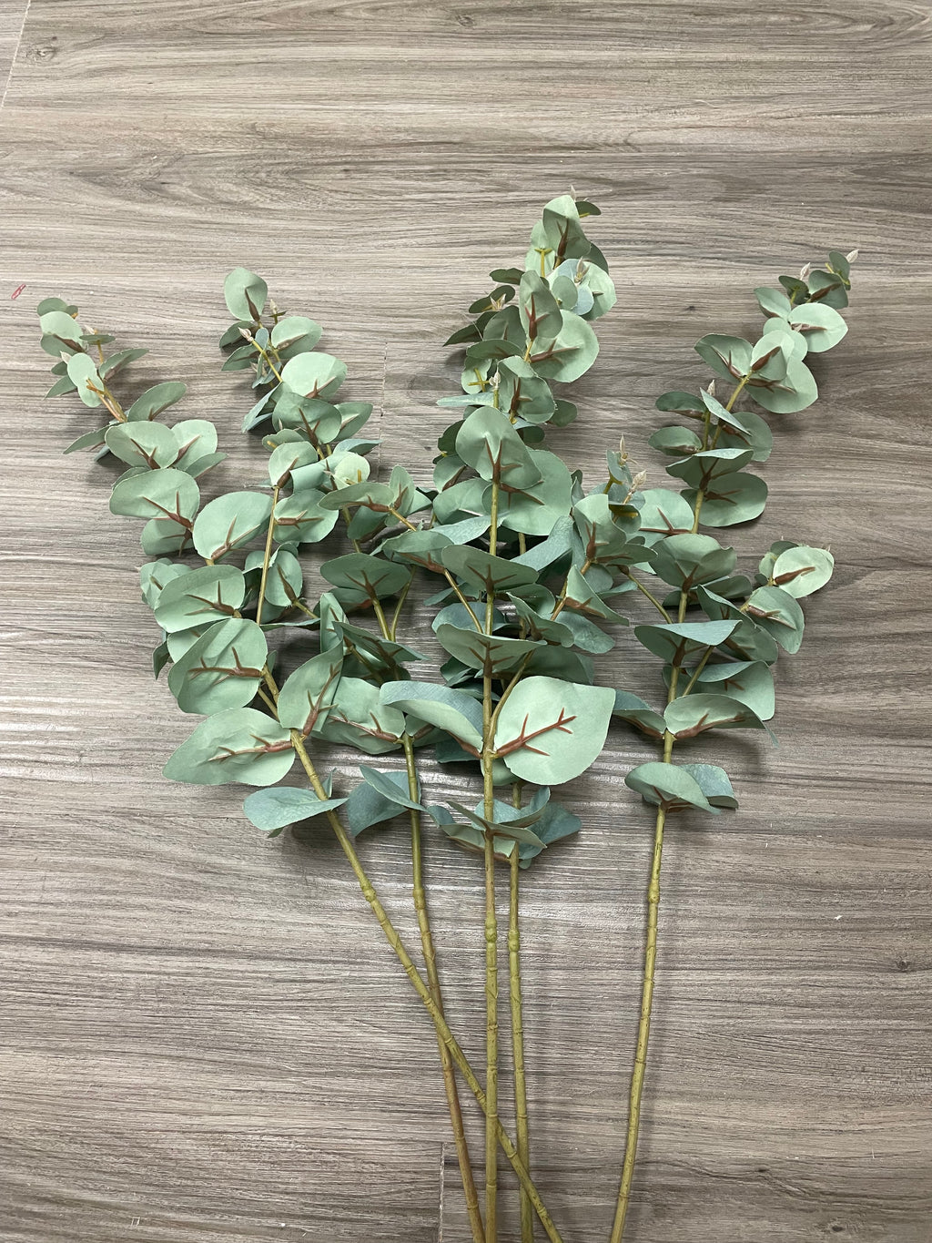 3Bunches/5Bunches Eucalyptus Greenery Stems, Artificial Silver Dollar Leaves, Realistic Filler for Wedding & Home Decor (AG13)