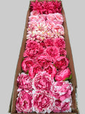 60 PCS Artificial Flower Heads (AS10), Hot Pink & Pink Mixed Flower - Roses, Peonies, Dahlias & Flame Chrysanthemums