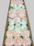 60/70 PCS Artificial Flower Heads (HS9), Mixed Colors for Wedding & DIY Decor