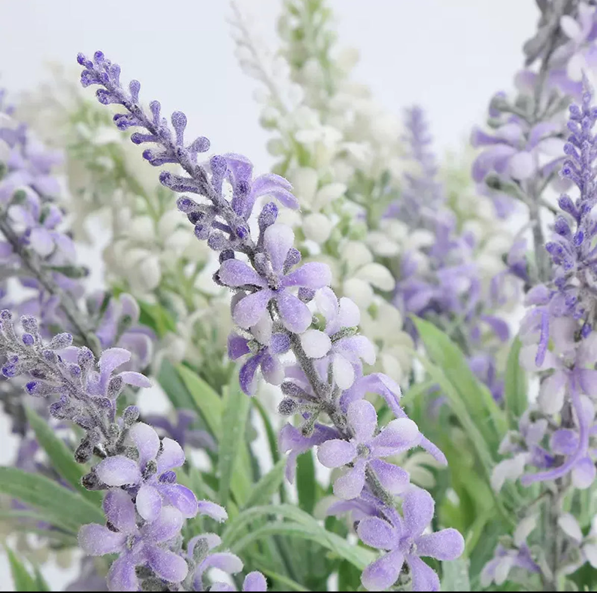 3Bunches/5Bunches Artificial Lavender Stems, Soft Purple Frosted Look, Realistic Filler Flowers for Wedding & DIY Decor (AF8)