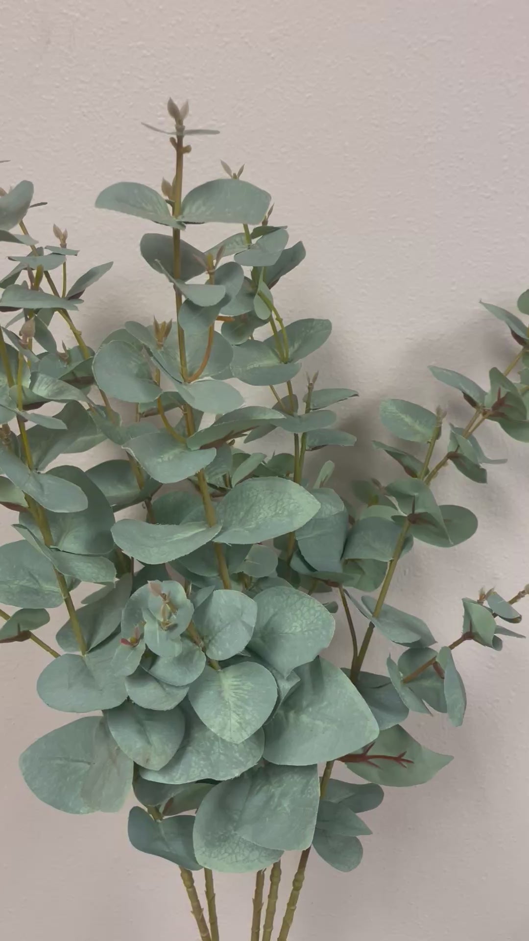 3Bunches/5Bunches Eucalyptus Greenery Stems, Artificial Silver Dollar Leaves, Realistic Filler for Wedding & Home Decor (AG13)