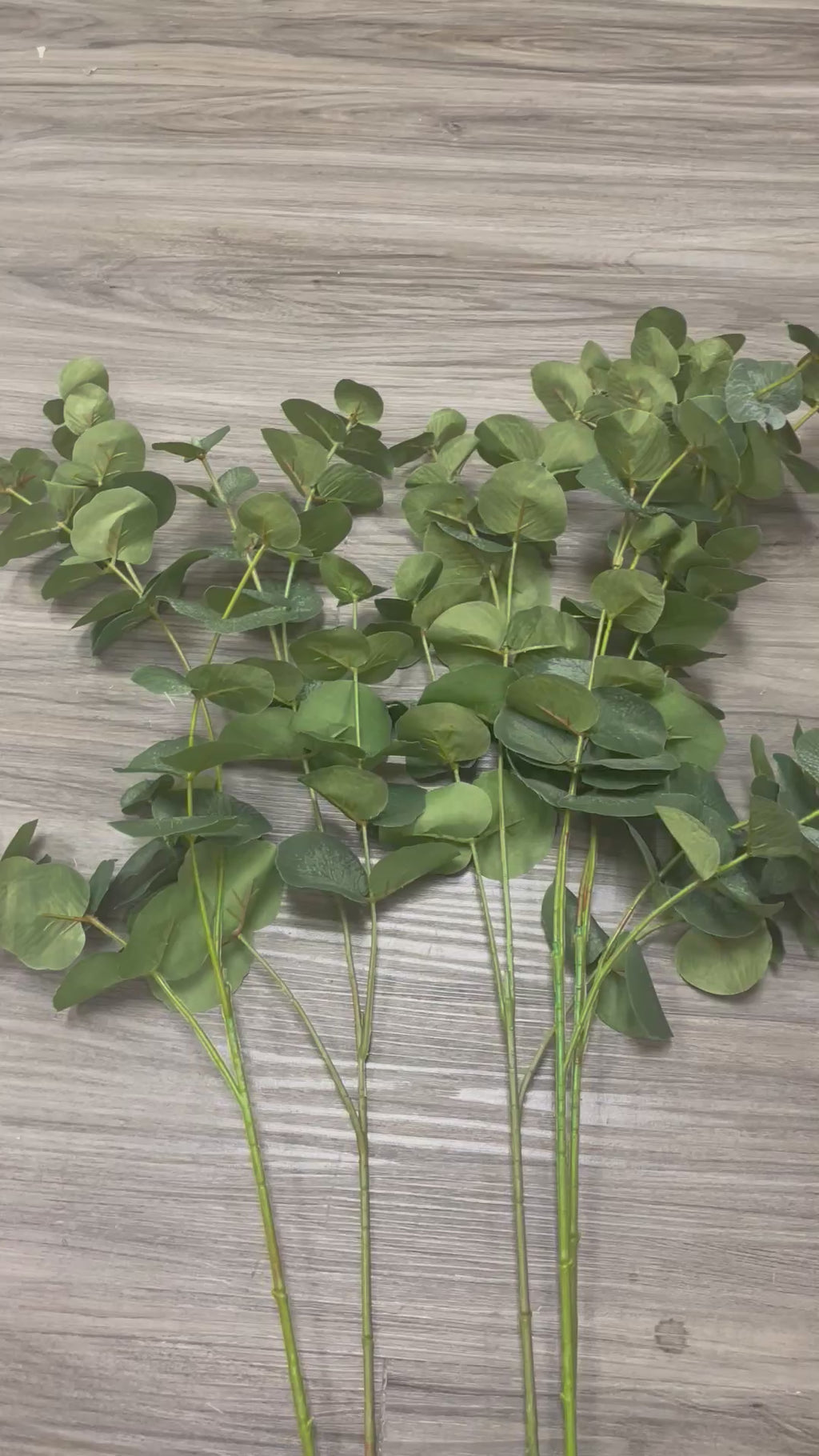 3Bunches/5Bunches Artificial Eucalyptus Stems, Realistic Greenery for Wedding Bouquets & DIY Decor (AG10）