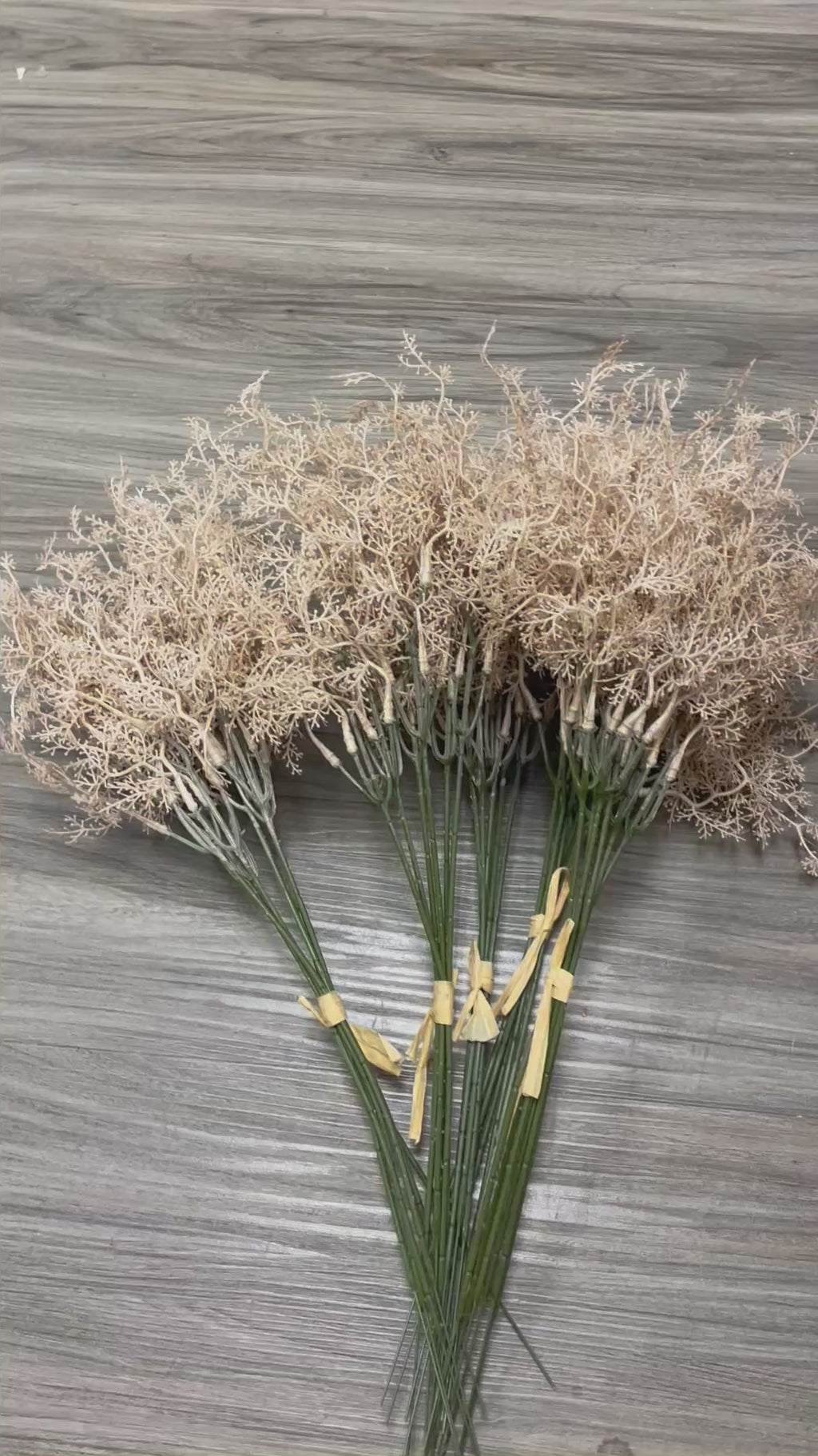 3Bunches/5Bunches Artificial Dried Grass Stems, Beige Natural Look Filler for Wedding Bouquets & DIY Decor (AF3)