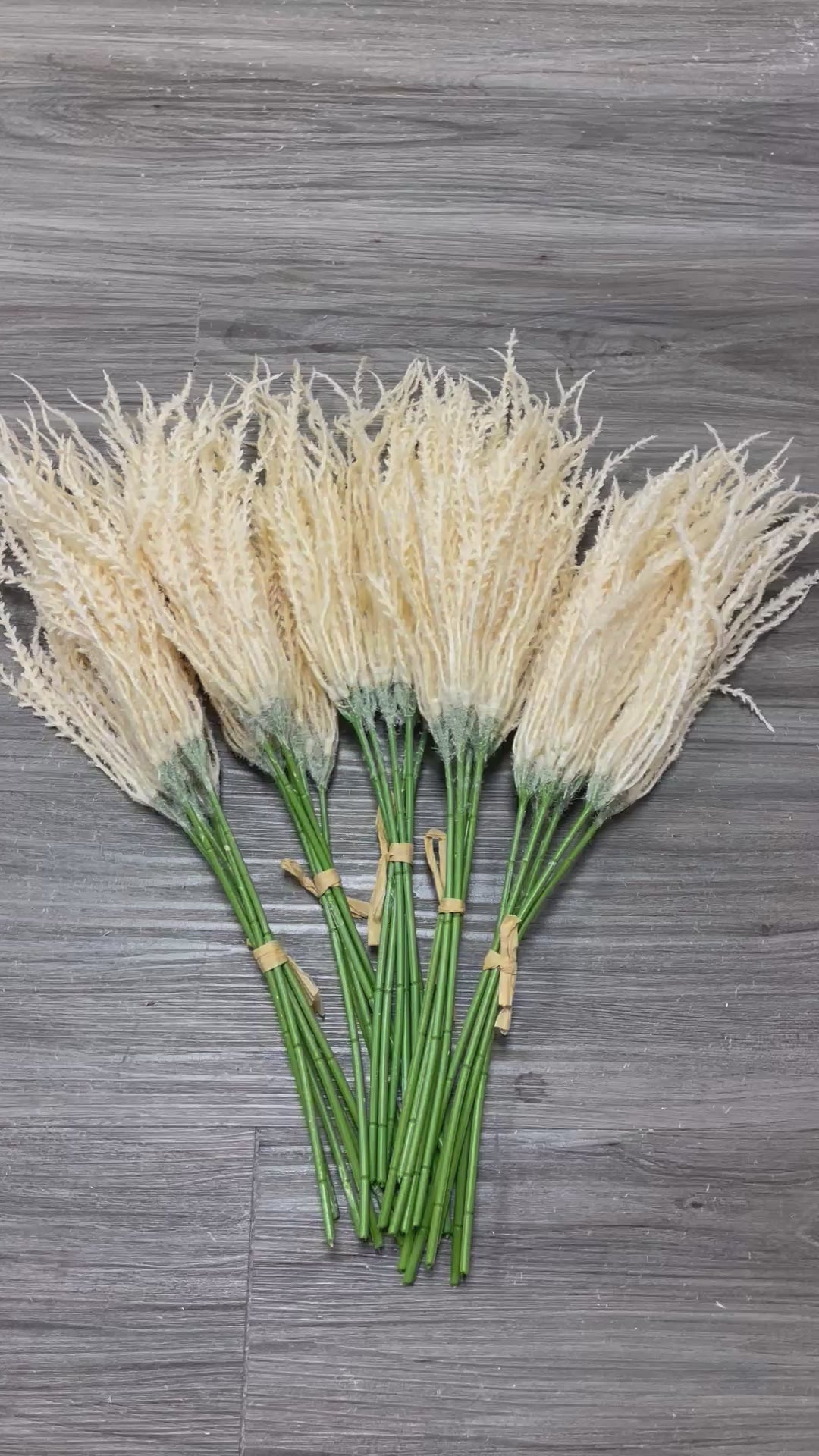 3Bunches/5Bunches Artificial Foxtail Grass Stems, Beige Dried Look, Realistic Hanging Filler for Wedding & DIY Decor (AF5)