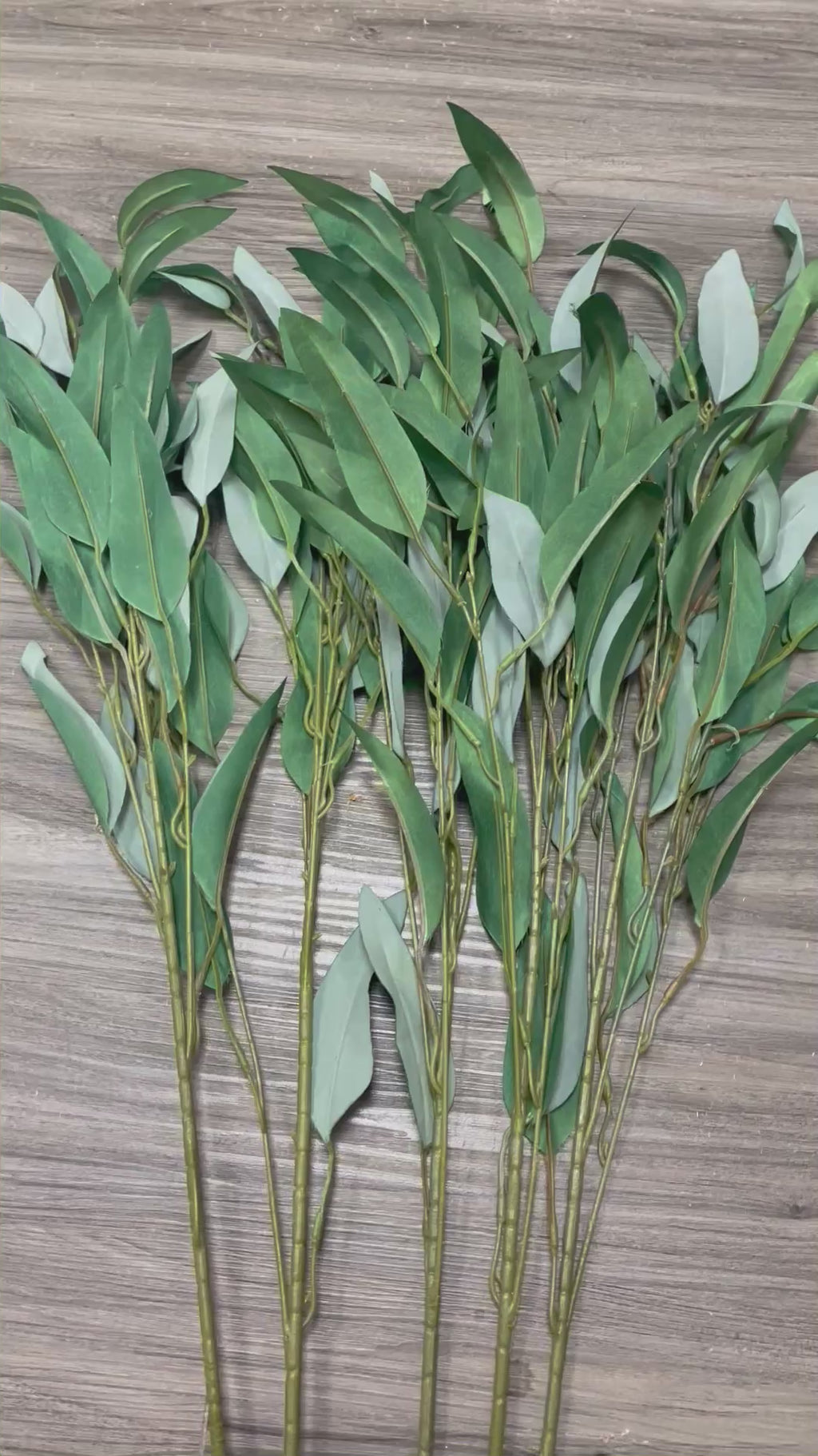 3Bunches/5Bunches Artificial Eucalyptus Stems, Realistic Draping Greenery, Soft-Touch Filler for Wedding & DIY Decor (AG7）